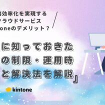kintone（キントーン）のデメリットとは？導入前に知っておきたい機能の制限・運用時の課題と解決法を解説