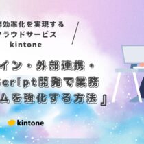 kintone（キントーン）カスタマイズ活用ガイド｜プラグイン・外部連携・JavaScript開発で業務システムを強化する方法